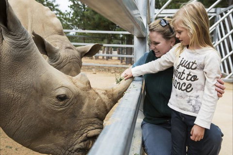 Jamala Wildlife Lodge - Tourism TAS 7