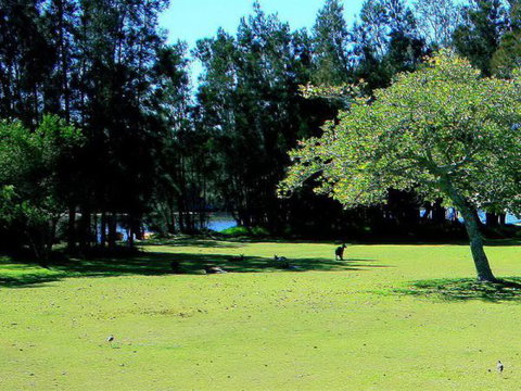 Lake Conjola Waterfront Holiday Park - Tourism TAS 2