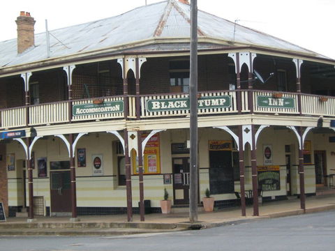 Coolah Black Stump Inn - Tourism TAS 0