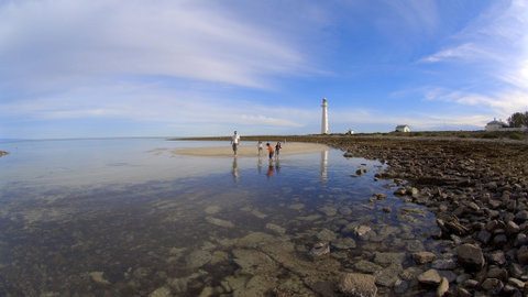 Point Lowly Lighthouse Cottages - Tourism TAS 4