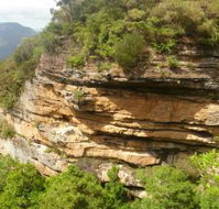 Blackheath Glen Tourist Park - Tourism TAS