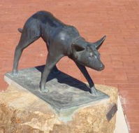 The Ardlethan Kelpie Caravan Park - Hobart Tourism