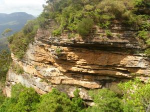 Blackheath Glen Tourist Park - Tourism TAS 1
