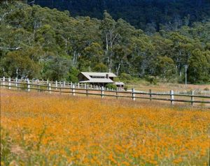 Pender Lea Alpine Guest Accommodation - Tourism TAS 0