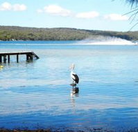 Dungowan Waterfront  Accommodation - Hobart Tourism
