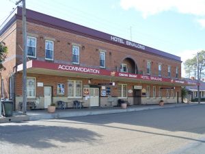 Newtown NSW Hobart Tourism