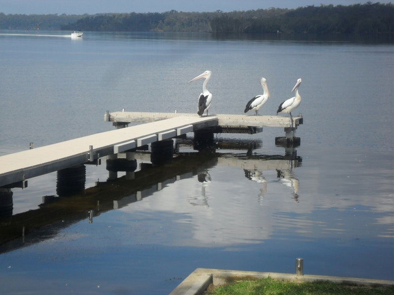 Basin View NSW Tourism TAS