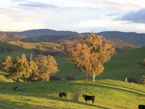 Old Bara Farmstay - Hobart Tourism 7