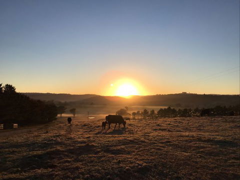 Old Bara Farmstay - Hobart Tourism 8