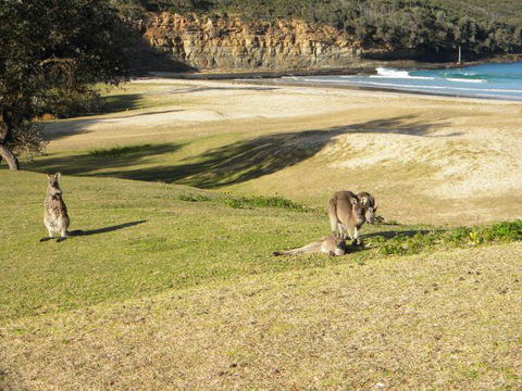 Creel Lodge - Tourism TAS 13