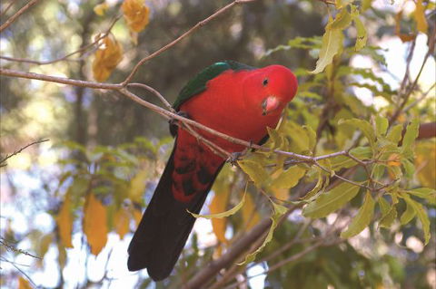Creel Lodge - Tourism TAS 16