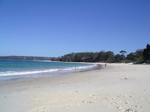 Shamrose Cottage - Tourism TAS 9