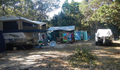 Smoky Cape Campground - Tourism TAS 1
