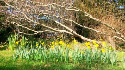 Southdown Cottage Bowral - Tourism TAS 7