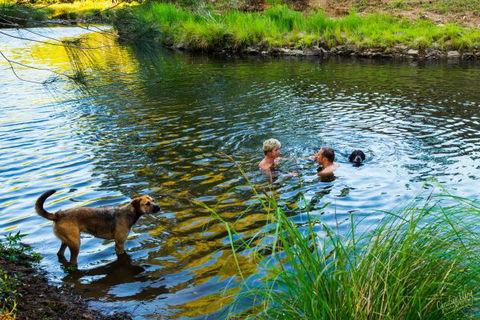 Terania Green Boutique Eco Cottages - Tourism TAS 4