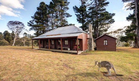 The Pines Cottage - Tourism TAS 1