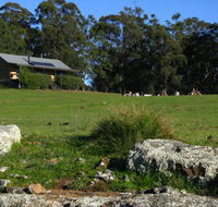 Wilderness Bunkhouse