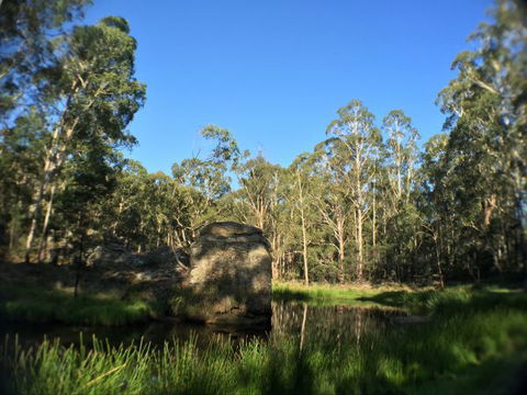 Wilderness Bunkhouse - Tourism TAS 3