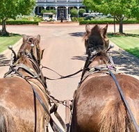 Hunter Valley Horses - Hobart Tourism
