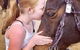 Hunter Valley Horses - thumb 2