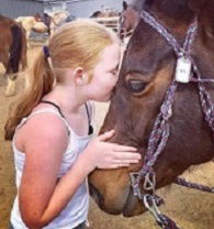 Hunter Valley Horses - Hobart Tourism 2
