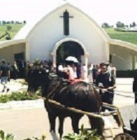 Hunter Valley Horses - Hobart Tourism 4