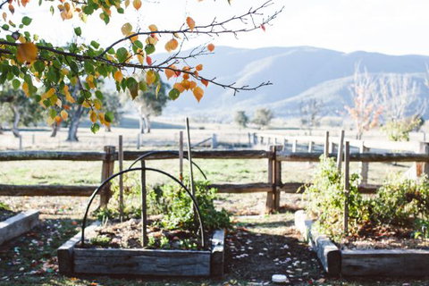 Alpine Edge Accommodation - Tourism TAS 5