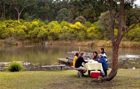 Eagleview Resort - Tourism TAS 4