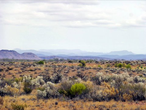 Nudlamutana Hut - Tourism TAS 4