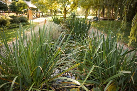 Old Stone House, The - Tourism TAS 1