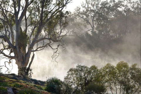 River Shack Rentals - Living The Dream - Tourism TAS 57
