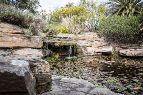 River Shack Rentals - Living The Dream - Tourism TAS 35