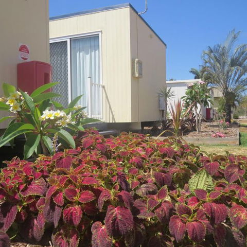 Bluewater Caravan Park - Hobart Tourism 3