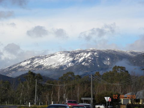 Myrtleford Masonic Units - Tourism TAS 0