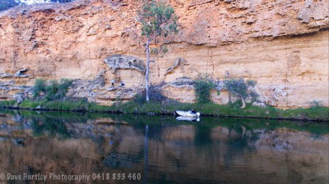 River Shack Rentals - Living The Dream - Tourism TAS 123