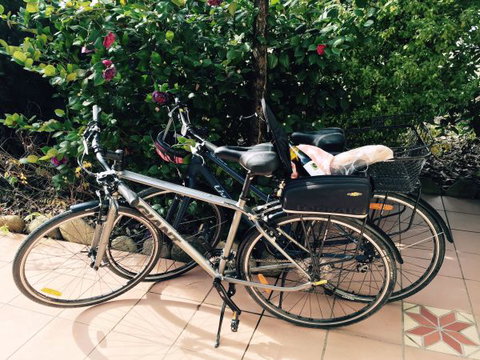 Pizzini's Vineyard Guesthouse - Tourism TAS 8