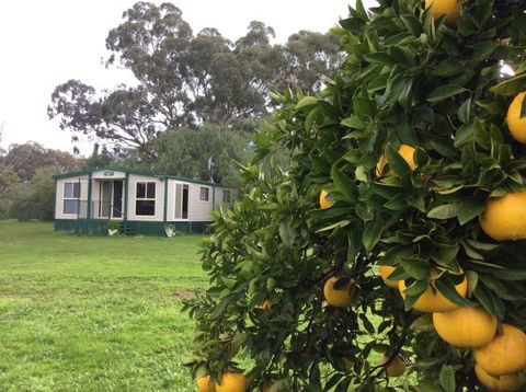 Balcraggon Accommodation - Hobart Tourism 9