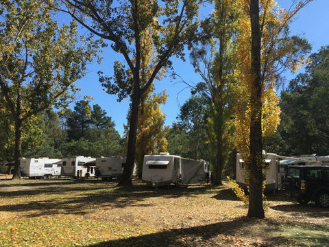 Beechworth Holiday Park - Tourism TAS 5