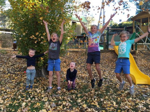 Beechworth Holiday Park - Tourism TAS 8