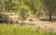 Girragirra Retreat - thumb 8