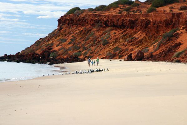 Francois Peron National Park WA Tourism TAS