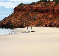 Herald Bight Camp at Francois Peron National Park - Tourism TAS