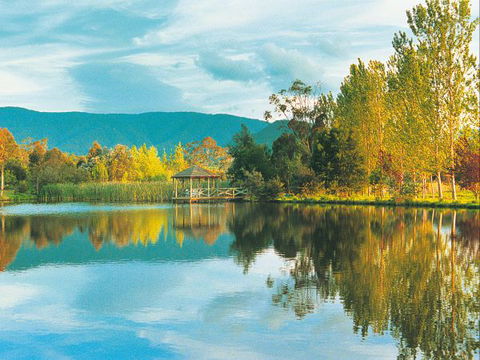 Kingbilli - Hobart Tourism 0