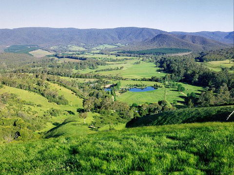 Kingbilli - Hobart Tourism 1