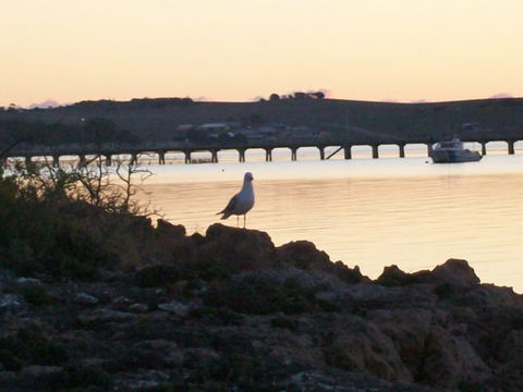 Seachange - Tourism TAS 11