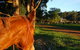 Billa Billa Farm Cottages - thumb 0