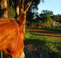 Billa Billa Farm Cottages - Tourism TAS