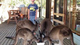 Demole River Retreat - Tourism TAS 4