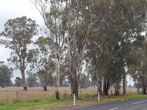 The Gums - Hobart Tourism 8