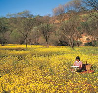 Miners Camp at Coalseam National Park - Tourism TAS